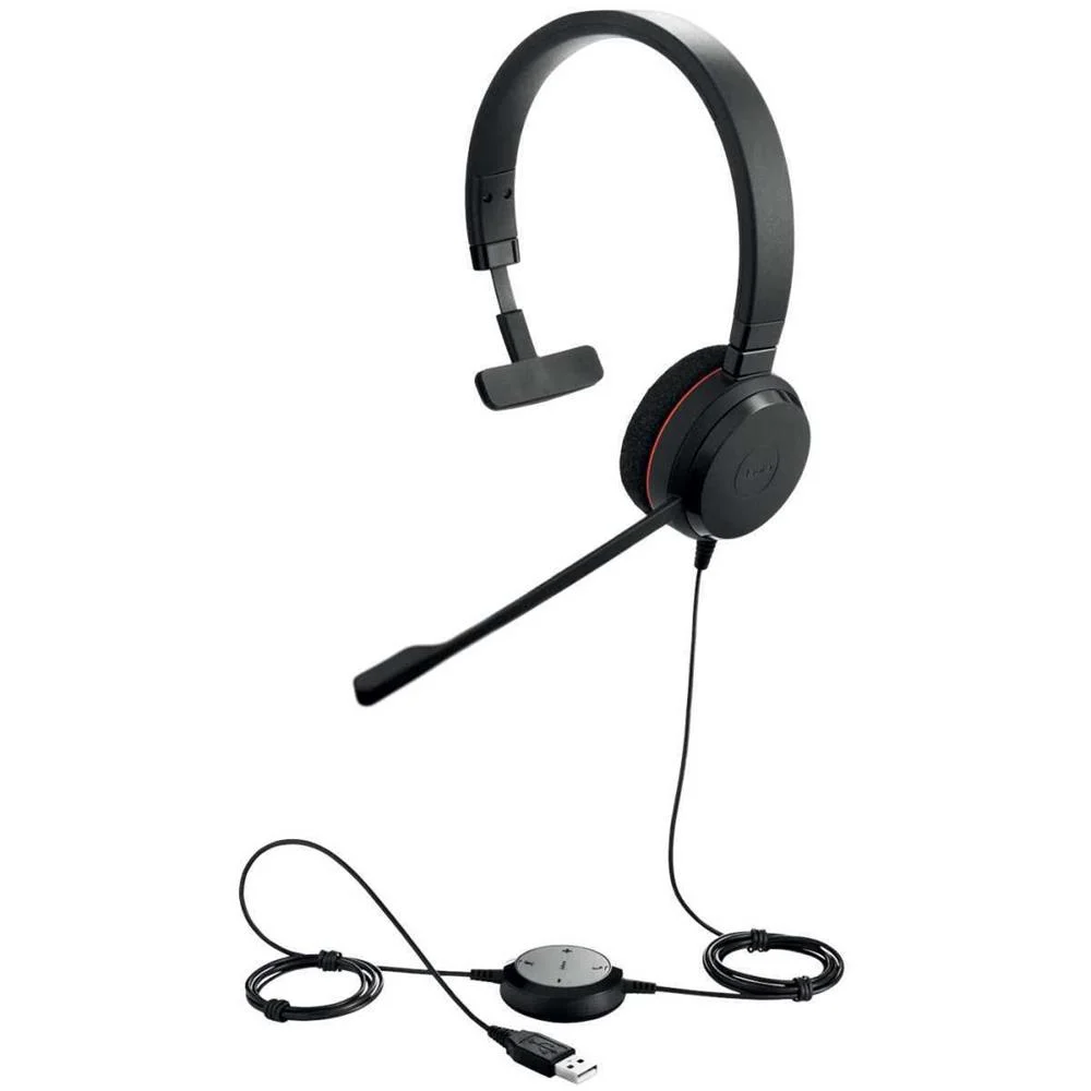 Jabra Evolve 20 Uc Mono        Accs