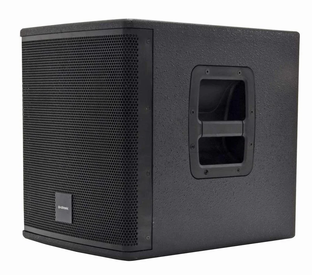 Casa-10ba Active 10" Sub 300w