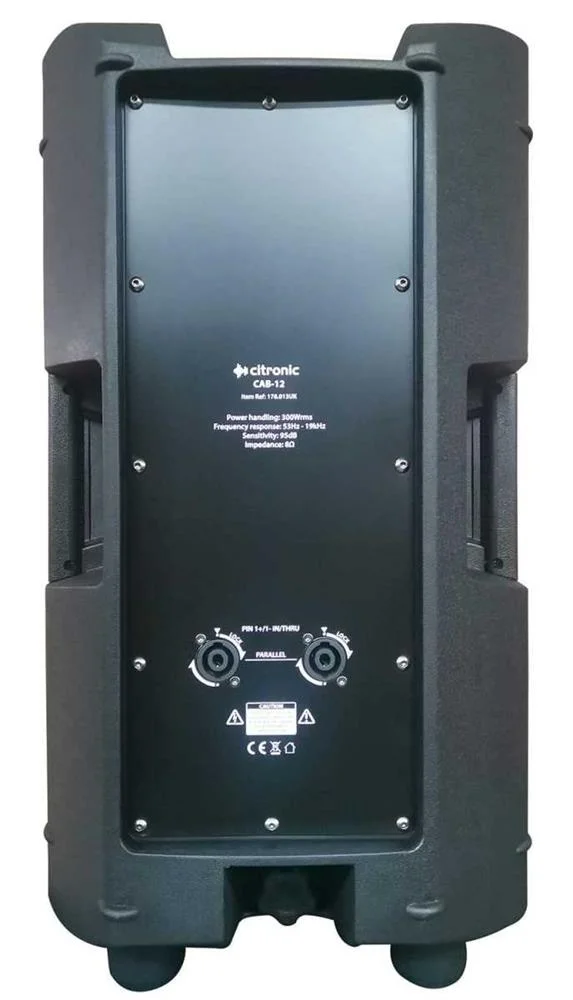 Cab-12 Passive Speakr Cab 300wrms