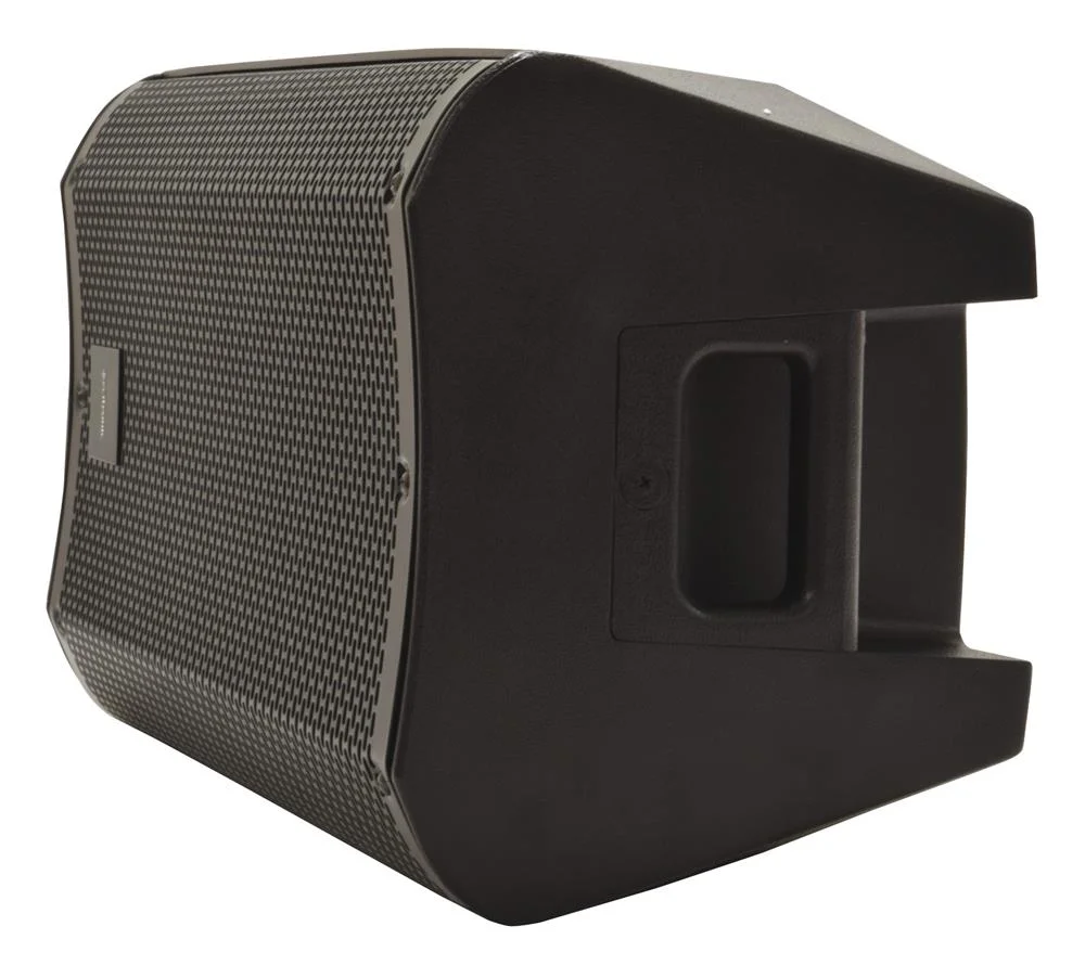 Casa-10 Passive 10 "Cabinet Pa Completo Pa 200wrms