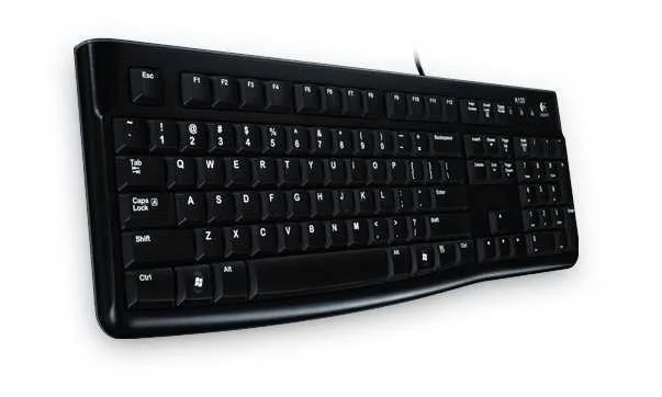 Logitech Keyboard K120 (920-002489)
