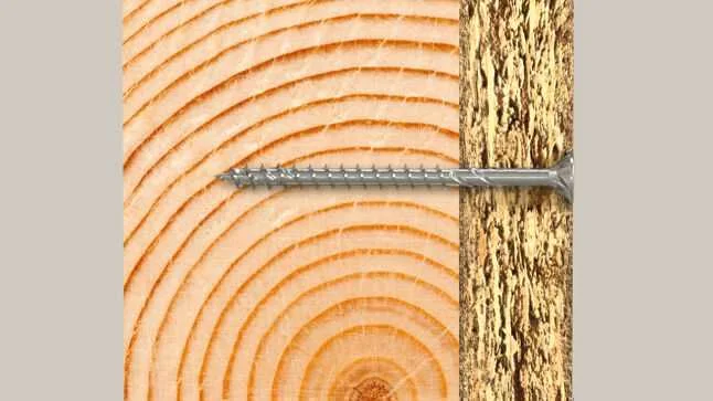 Fischer 670664 Parafuso/Porca 40 Mm 50 Unidade(S)
