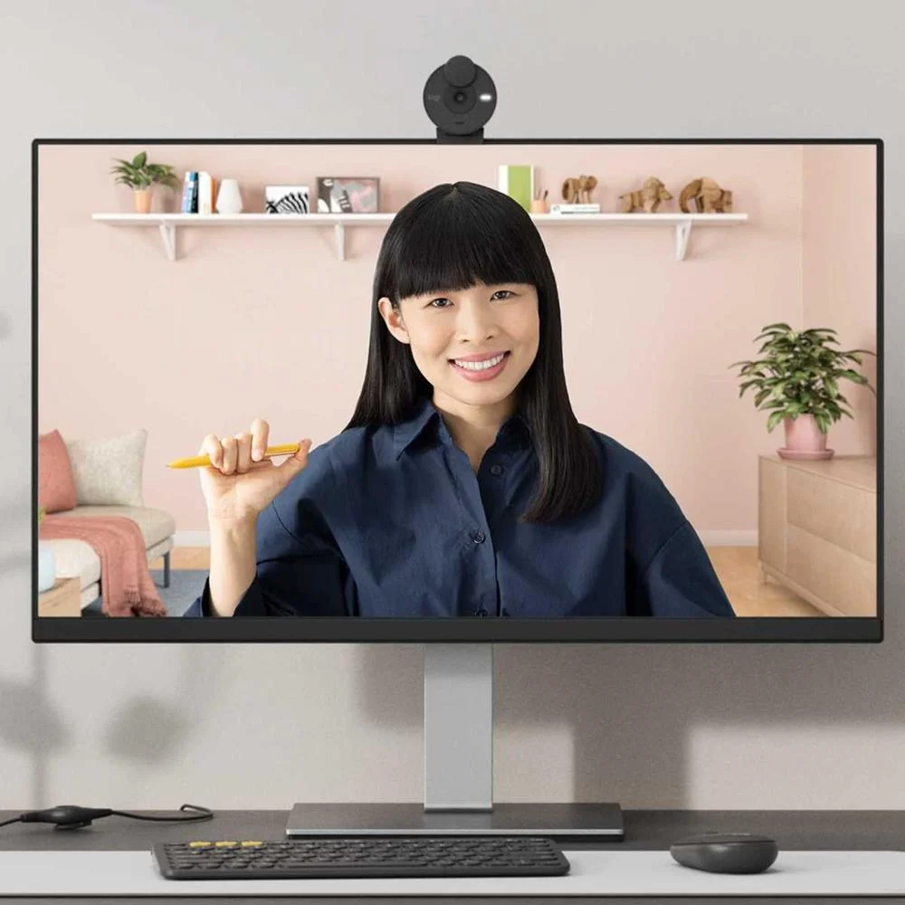 Brio 300 Full Hd Webcam        Cam