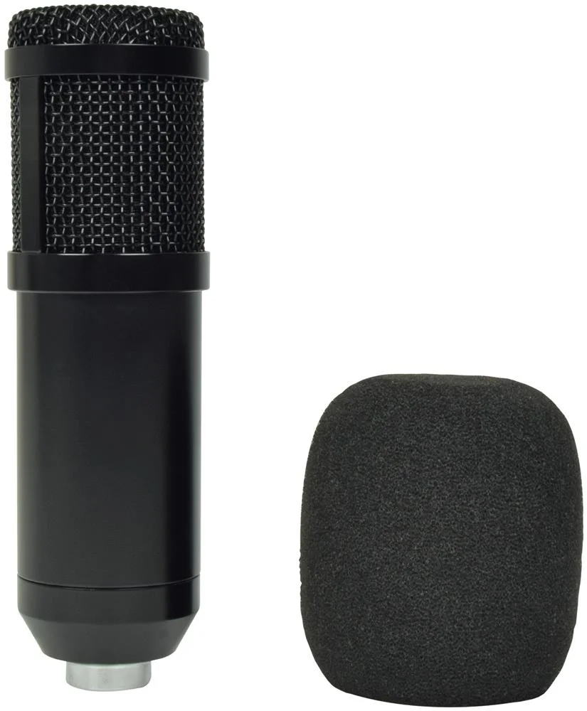 Usb Studio Microphone Kit