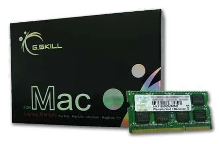 G.SKILL 4GB DDR3-1066 SQ MAC MÓDULO DE MEMÓRIA 1 .