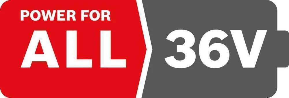 BOSCH F016800346 BATERIA E CARREGADOR DE FERRAMEN.