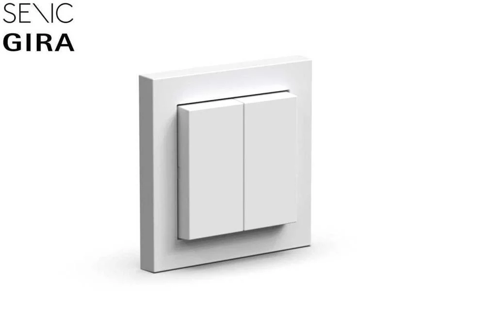 SENIC FRIENDS OF HUE SWITCH INTERRUPTOR POLICARBO.