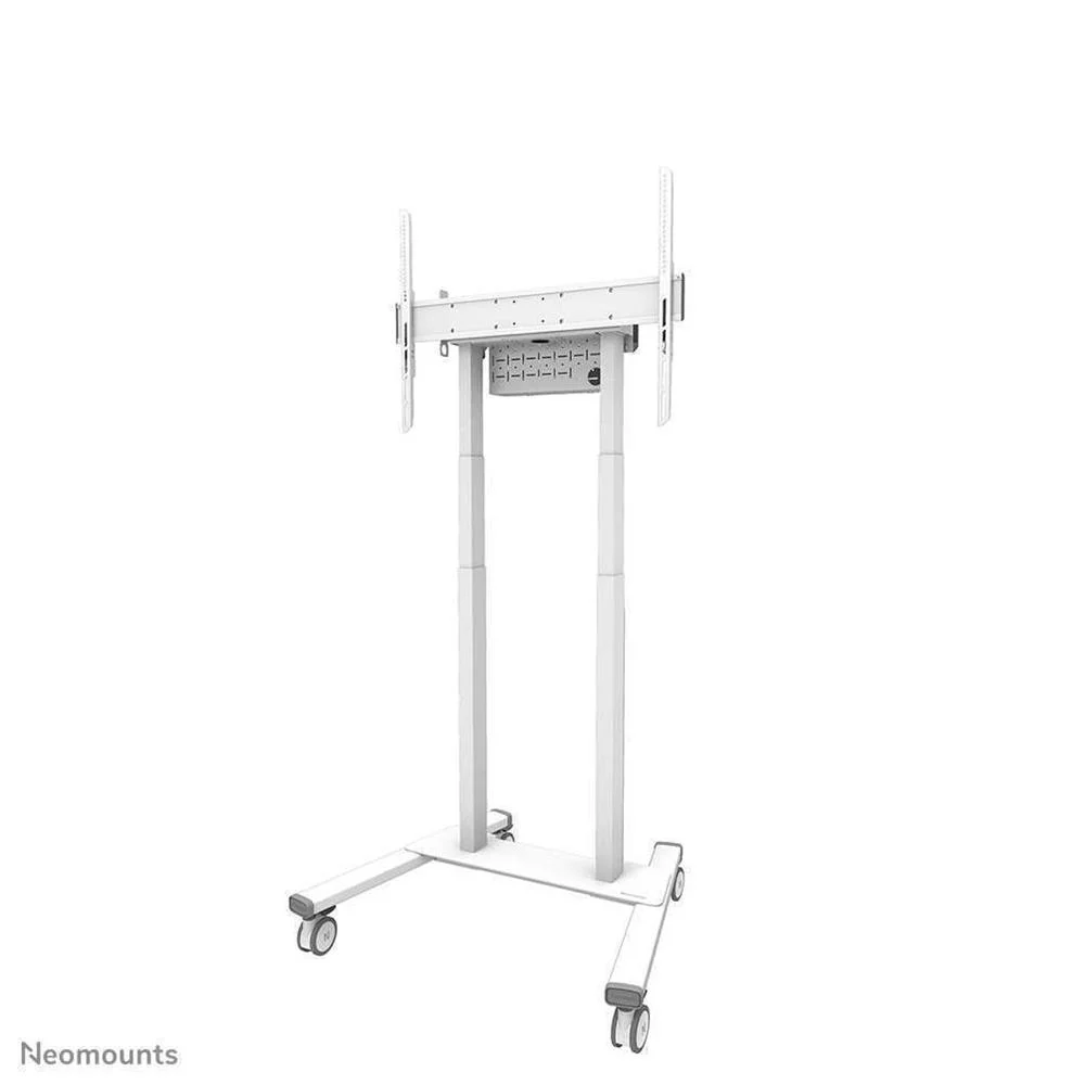 NEOMOUNTS BY NEWSTAR FL55-875WH1 SUPORTE DE EXIBI.