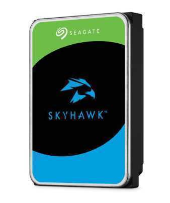 Seagate Skyhawk 3.5  6000 Gb Serial Ata Iii