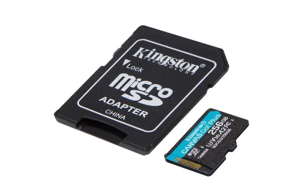 Kingston Technology Canvas Go! Plus 256 Gb Sd Uhs-I Class 10