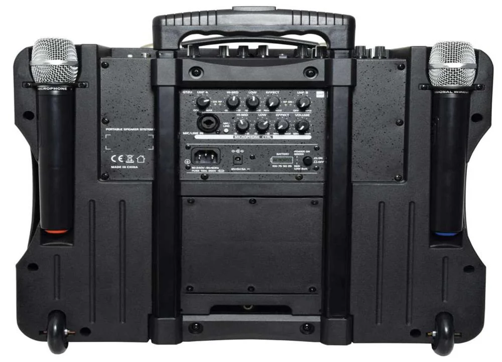 Delta-200 Performance Portable Pa Unit