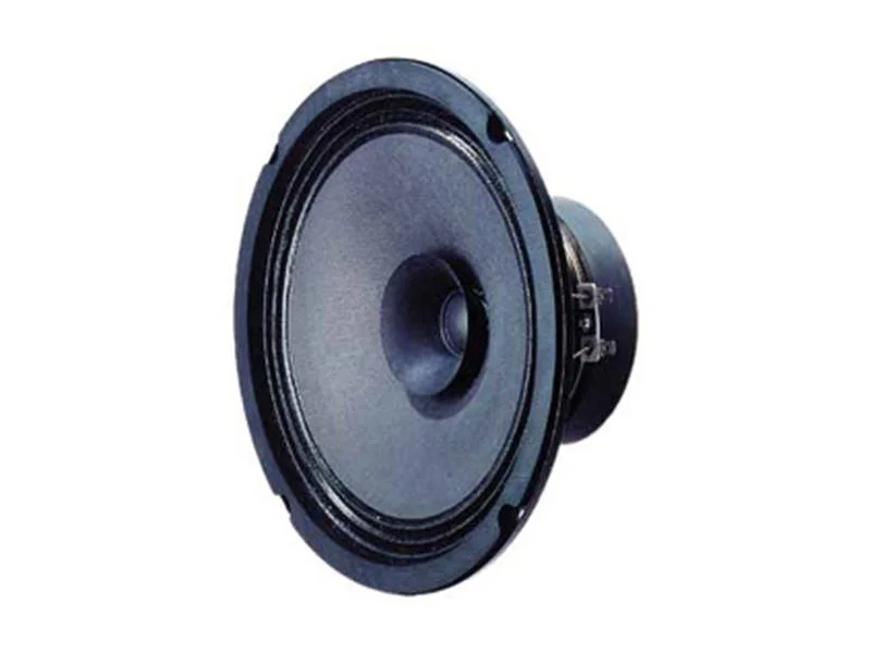 Altifalante 10" 100w 8ohm