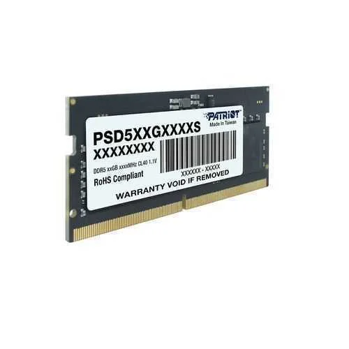 Patriot Memory Signature Psd516g560081s Módulo De.
