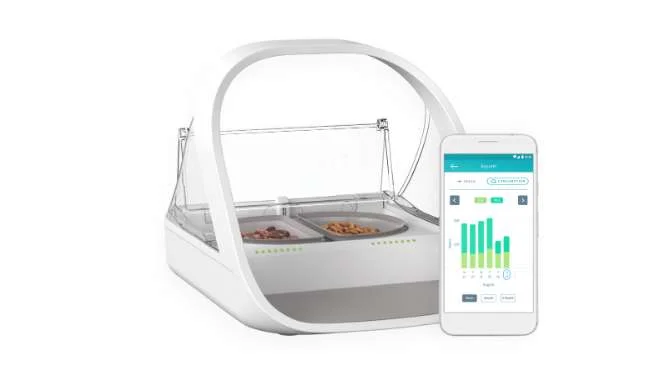 SUREFLAP IMPFWT DISPENSADOR DE COMIDA E ÁGUA PARA.
