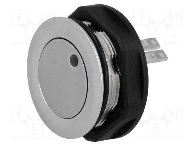 Interruptor: Antivandalismo, Pos: 2, Spst-No, 0,125a/48vdc, Ip65