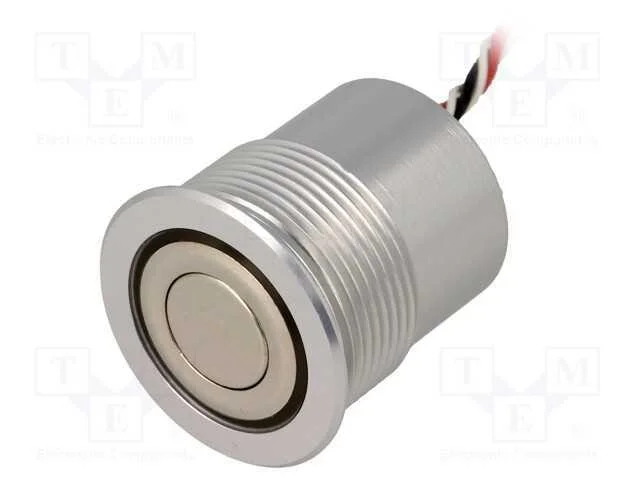 Interruptor: Antivandalismo, Pos: 2, Spst-No, 0,05a/24vdc, Ip65