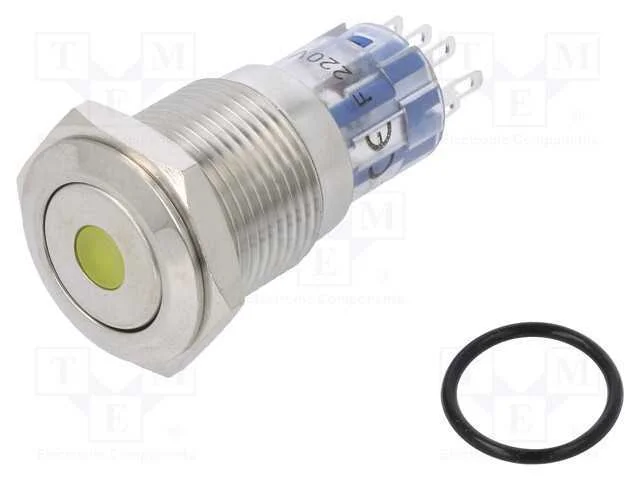Interruptor: Antivandalismo, Dpdt, 3a/250vac, Ip67, On-(On)