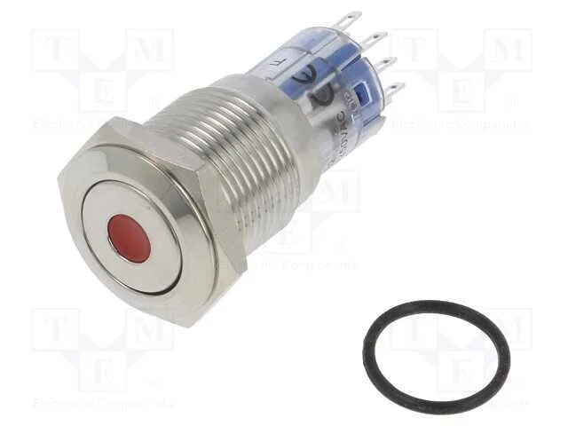 Interruptor: Antivandalismo, Dpdt, 3a/250vac, Ip67, On-(On), 12vdc
