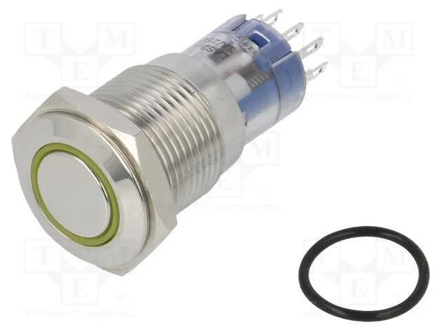 Interruptor: Antivandalismo, Dpdt, 3a/250vac, Ip67, On-(On)