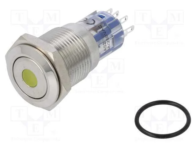 Interruptor: Antivandalismo, Dpdt, 3a/250vac, Ip67, On-(On), 12vdc