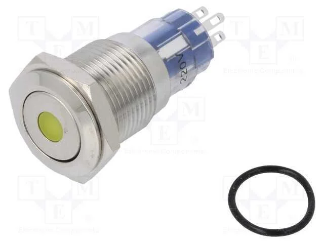 Interruptor: antivandalismo, DPDT, 3A/250VAC, IP6.