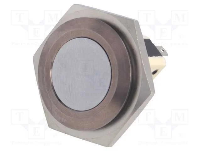 Interruptor: Antivandalismo, Pos: 2, Spst-No + Spst-Nc, 5a/250vac