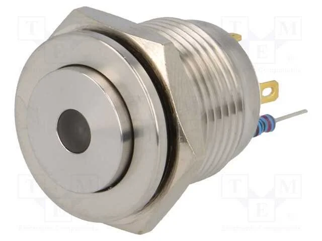 Interruptor: Antivandalismo, Pos: 2, Spst-No, 2a/36vdc, Ip65, 12v