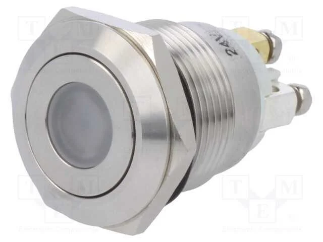 Interruptor: Antivandalismo, Pos: 2, Spst-No, 0,5a/220vac, Ip65