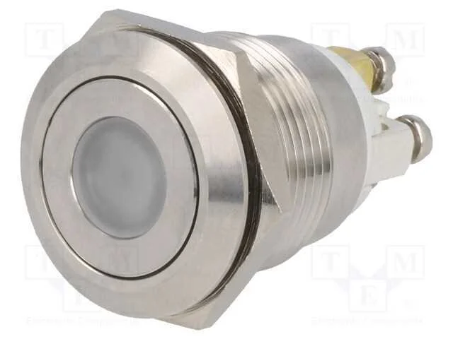 Interruptor: Antivandalismo, Pos: 2, Spst-No, 0,5a/220vac, Ip65