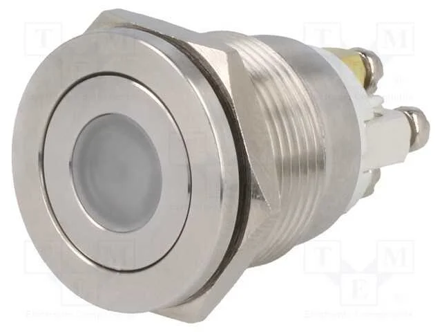 Interruptor: Antivandalismo, Pos: 2, Spst-No, 0,5a/220vac, Ip65