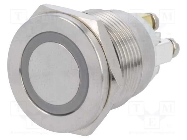 Interruptor: Antivandalismo, Pos: 2, Spst-No, 0,5a/220vac, Ip65