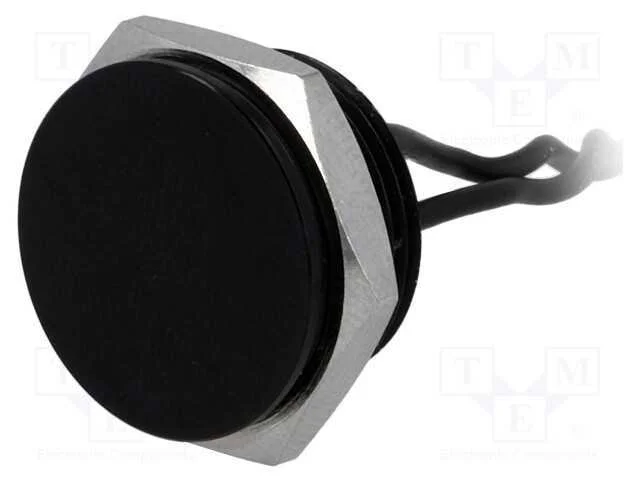 Interruptor: Piezoel&eacute;ctrico, Pos: 2, Spst-No, 0,2a/24vac, Ip68