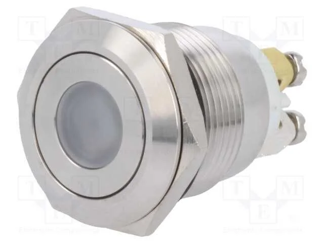 Interruptor: Antivandalismo, Pos: 2, Spst-No, 0,5a/220vac, Ip65