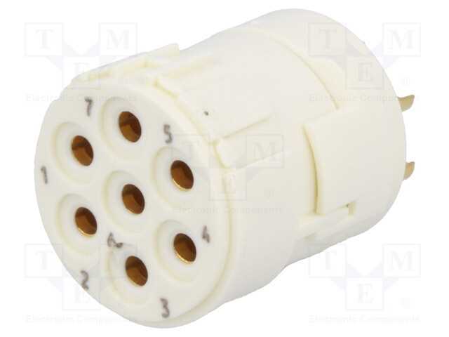 Conector: M23, Inserto de Contatos, Pin: 7, Fêmea, Solda, 300v, 20a