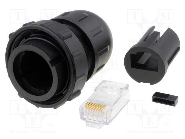 Ficha, RJ45, DC, PIN: 8, Cat: 6, Sistema: 8p8c, B.