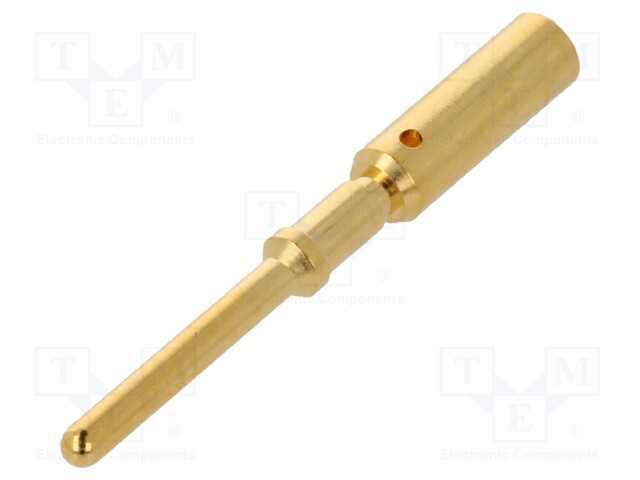 Contacto, Macho, Dourado, 2,5mm2, Pino de Ligação à Massa, Cerrar