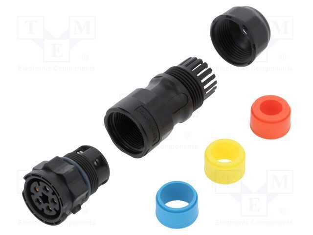 Conector: redondos, fêmea, ficha, terminal parafu.