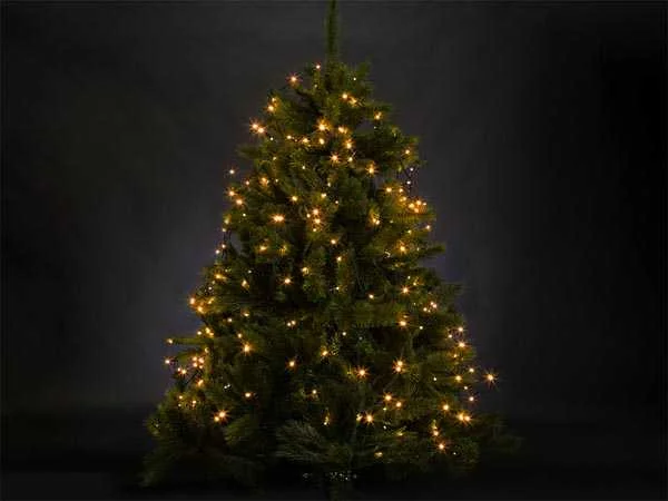 Atria LED - para Árvore Até 1.8 M - 220 Lâmpadas Branco Arizona - Fio Verde - 24 V