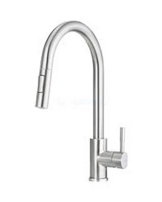Kitchen Mixer With Pull-Out Spray Deante Two Flows  Brushed Steel Lima