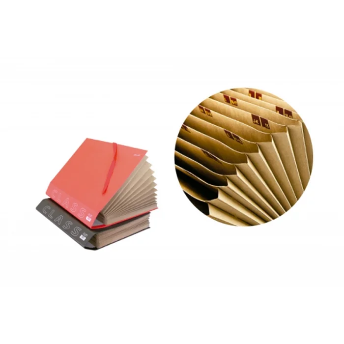 Carpeta Acordeon Fuelle Folio Carton Forrado Gelt.