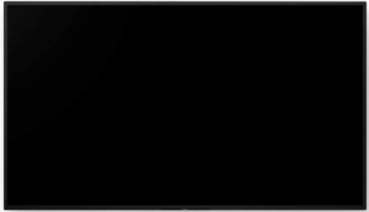 Monitor Sony Pro Bravia 55"" 4k Ultra Hd Ips D-Led Lcd 60 Hz 