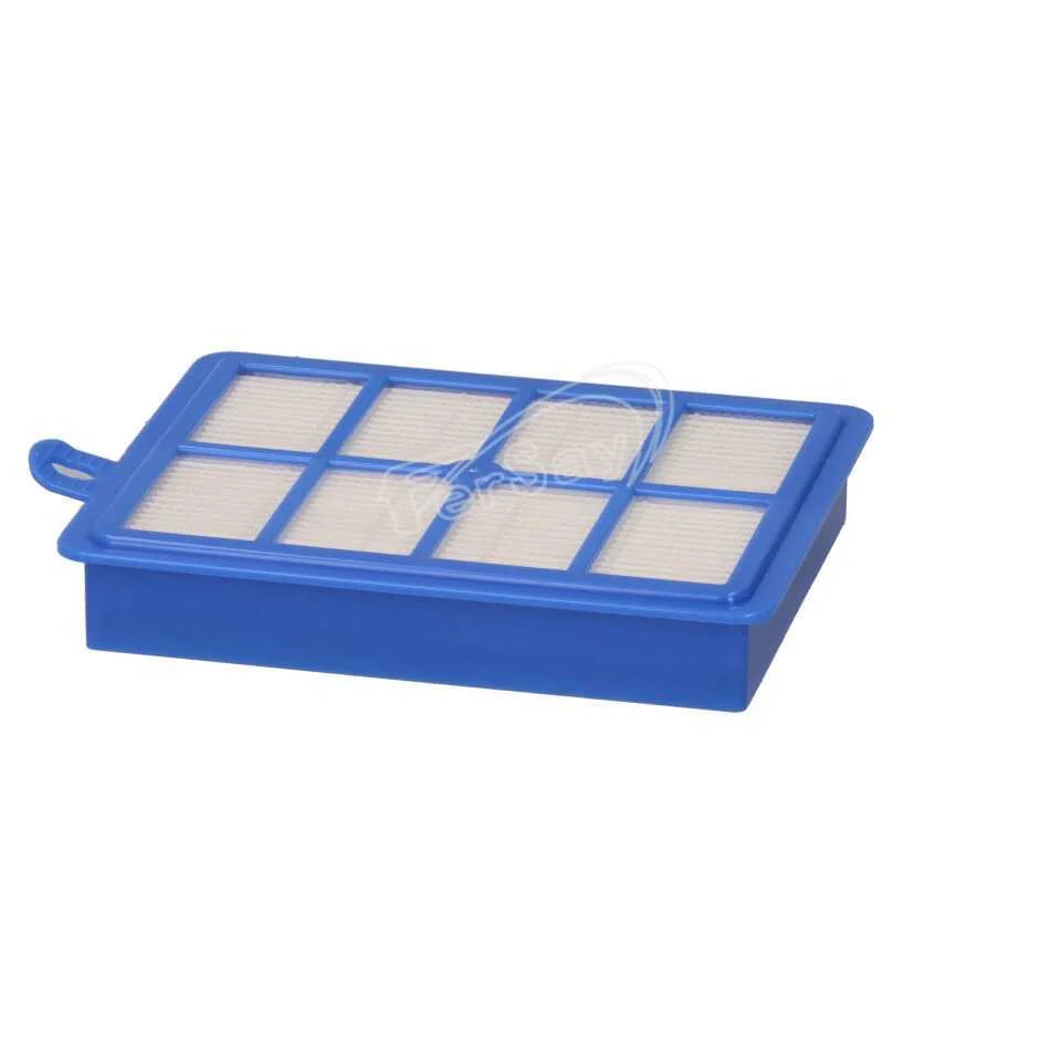 Filtro Hepa Efw12w - 1 Micro Filter
