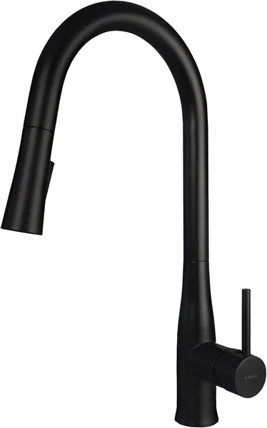 Kitchen Faucet With Pull-Out Spout