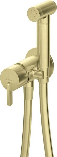 Concealed Bidet Mixer With Bidetta Shower Head