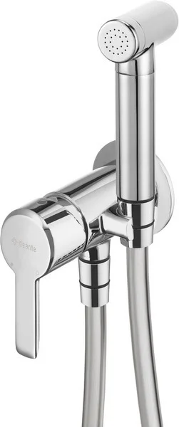 Concealed Bidet Mixer With Bidetta Shower Head
