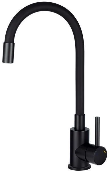Kitchen Faucet With Flexible Spout