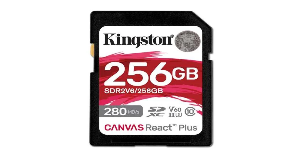Cartão de Memória Sdxc Kingston Sdr2v6/256gb 256 Gb 