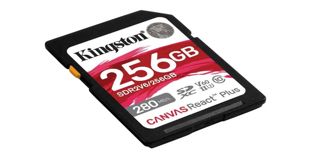 Cartão de Memória Sdxc Kingston Sdr2v6/256gb 256 Gb 