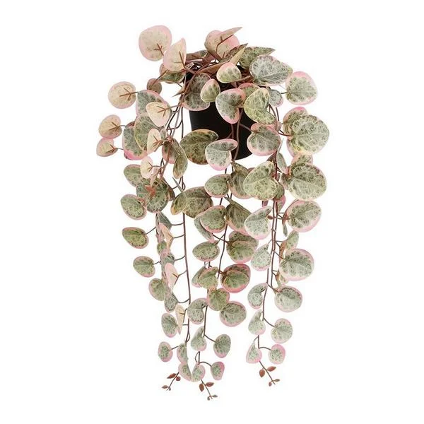 Planta Artificial Pendurar Ceropegia Woodii "Cola.