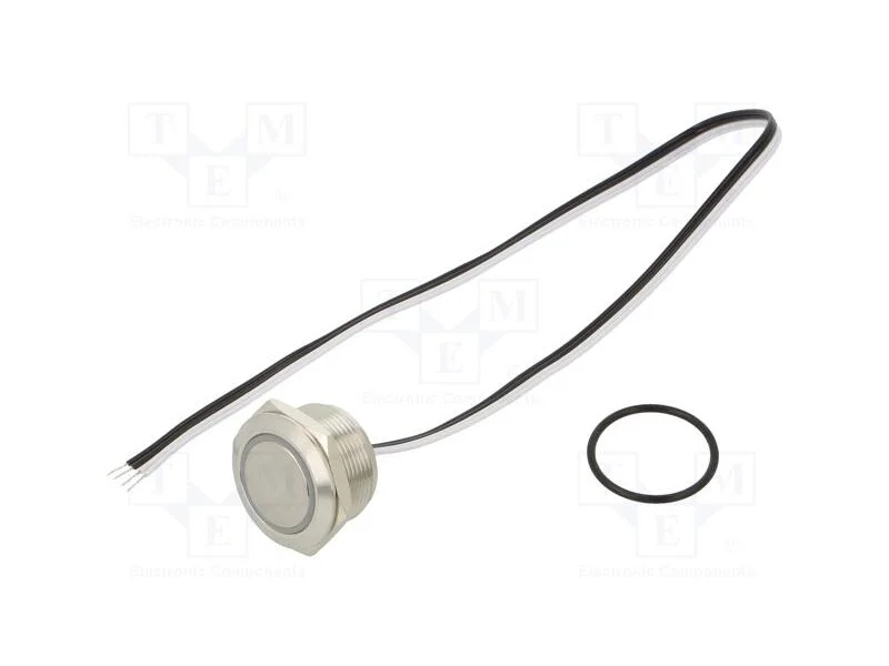 Interruptor: Antivandalismo, Pos: 2, Spst-No, 50ma/24vdc, Ip65
